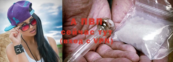 кокс Гусев