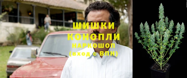 крисы Гусиноозёрск