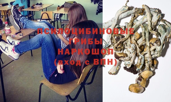 кокс Гусев