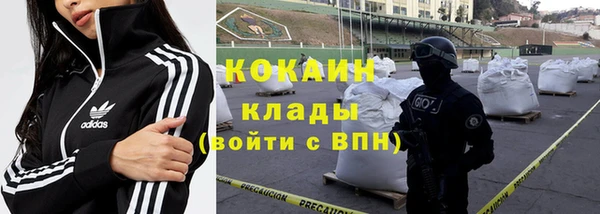 кокс Гусев