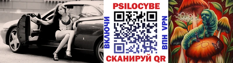 Купить Бор Галлюциногенные грибы мицелий