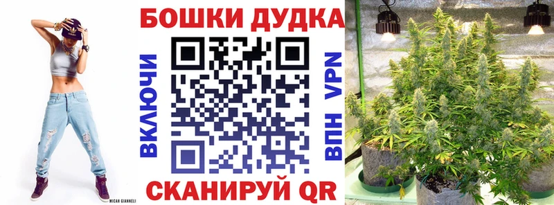 Купить Бор Конопля Amnesia